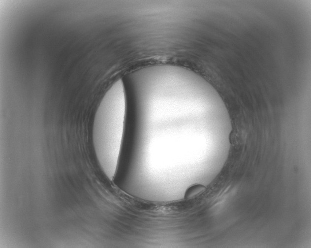 X0000066090656200603101004