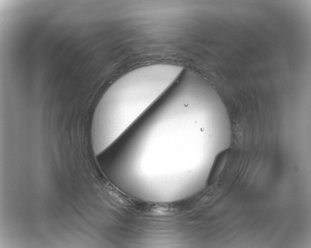X0000066090657200603101004