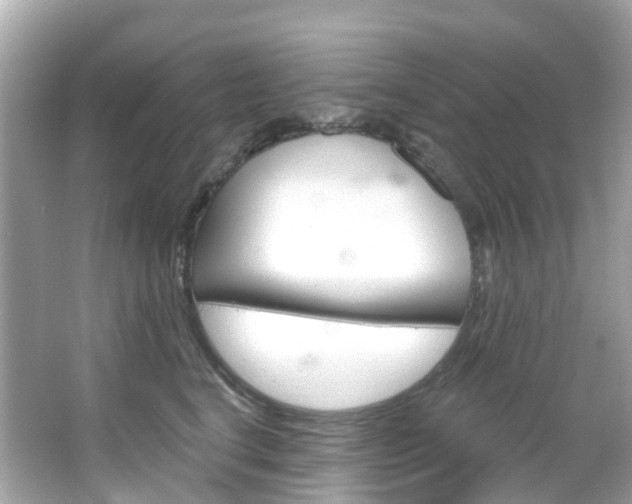 X0000066090664200603101004