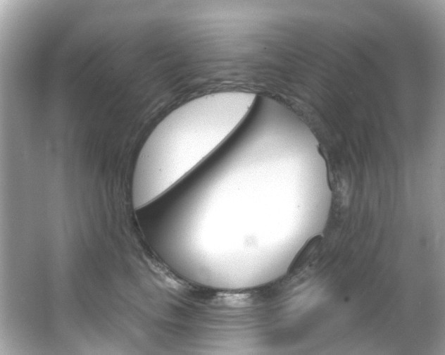 X0000066090665200603101004