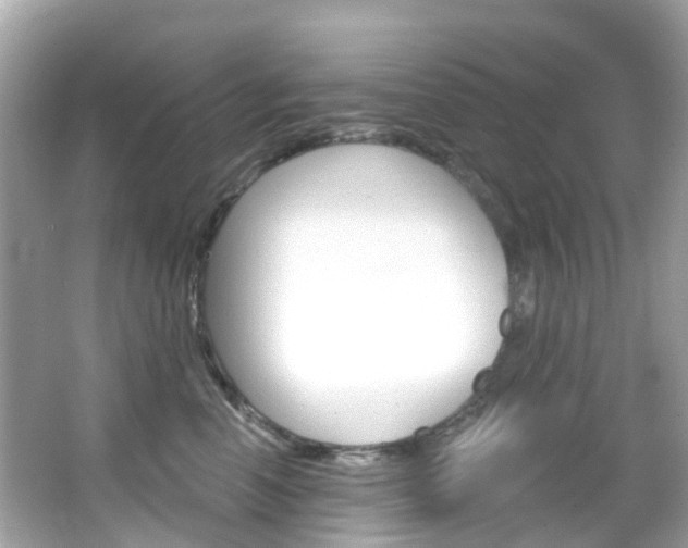 X0000066090666200603101004