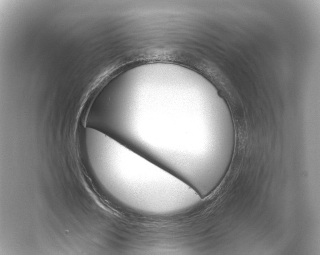 X0000066090674200603101004