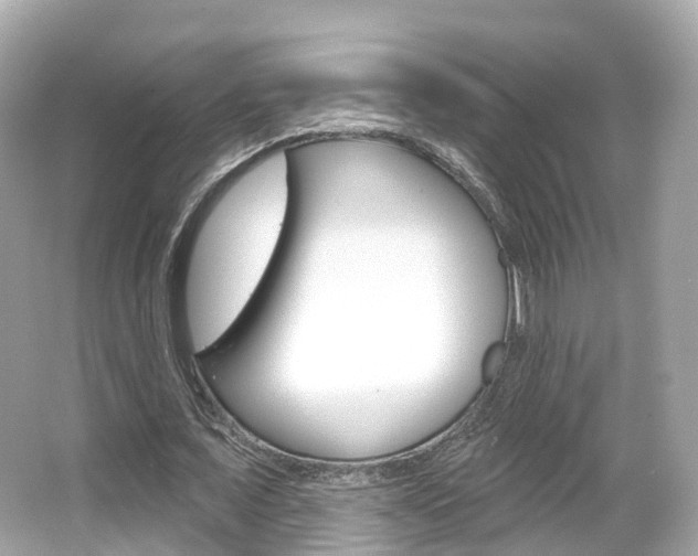 X0000066090675200603101004