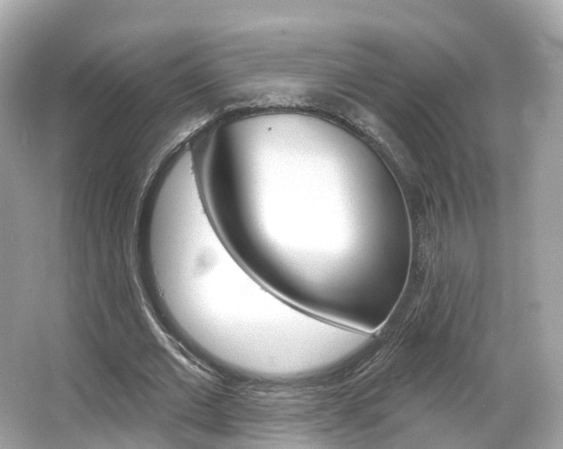 X0000066090677200603101004