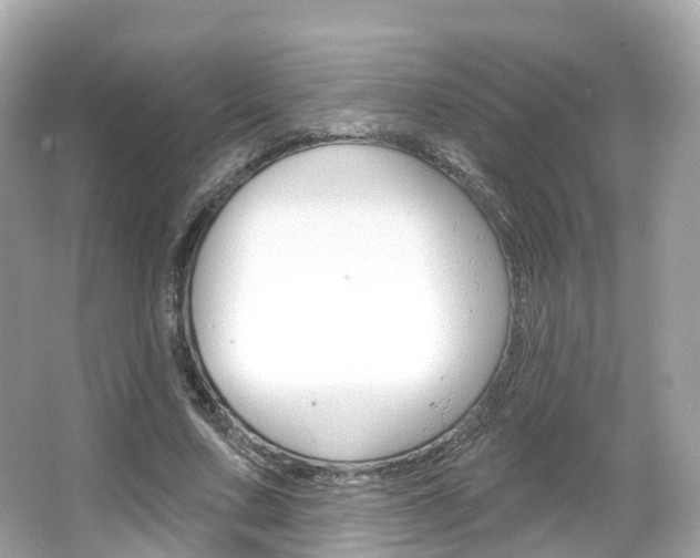 X0000066090683200603101003