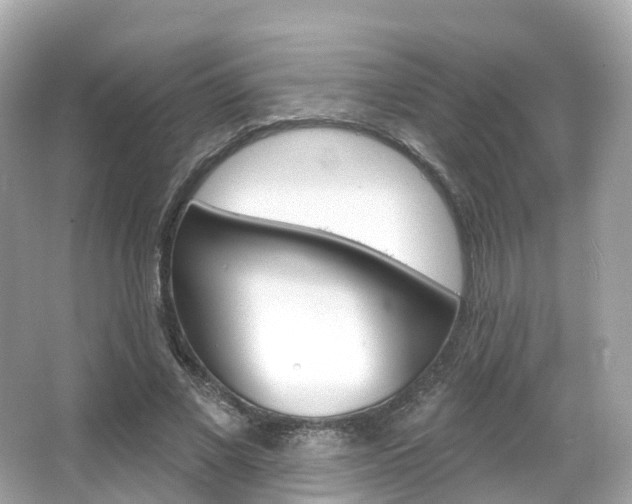 X0000066090685200603101003