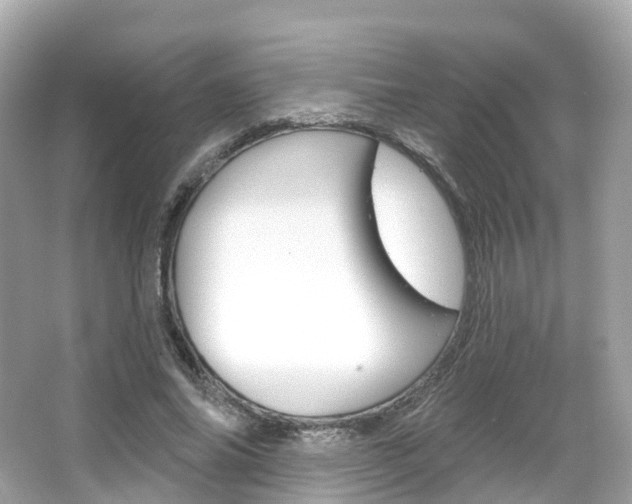 X0000066090686200603101003