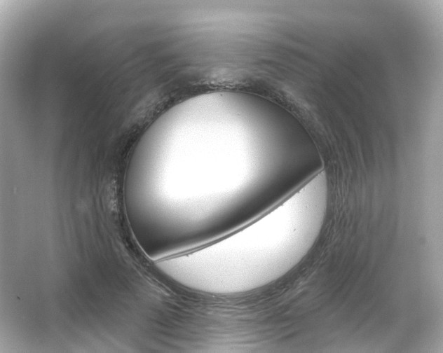 X0000066090689200603101003