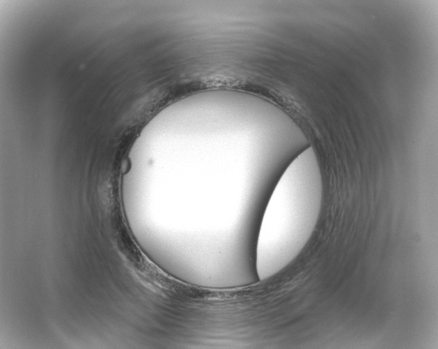 X0000066090690200603101003