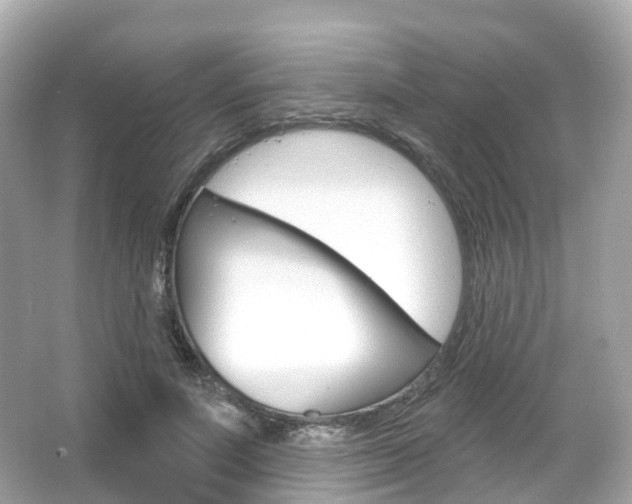 X0000066090691200603101003