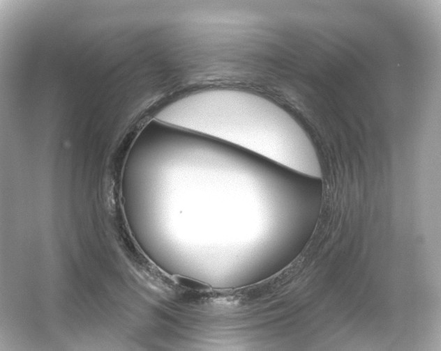 X0000066090692200603101003