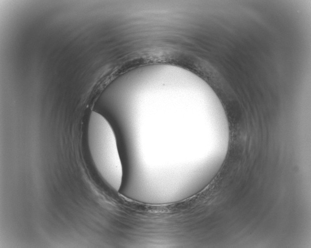 X0000066090694200603101003
