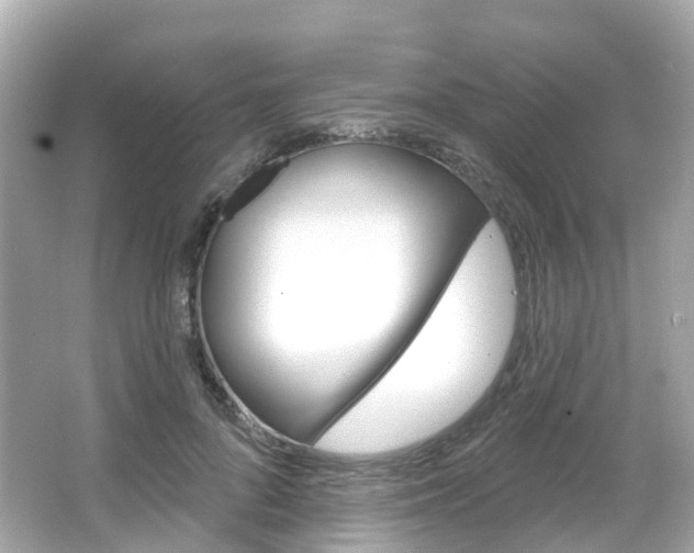 X0000066090696200603101003