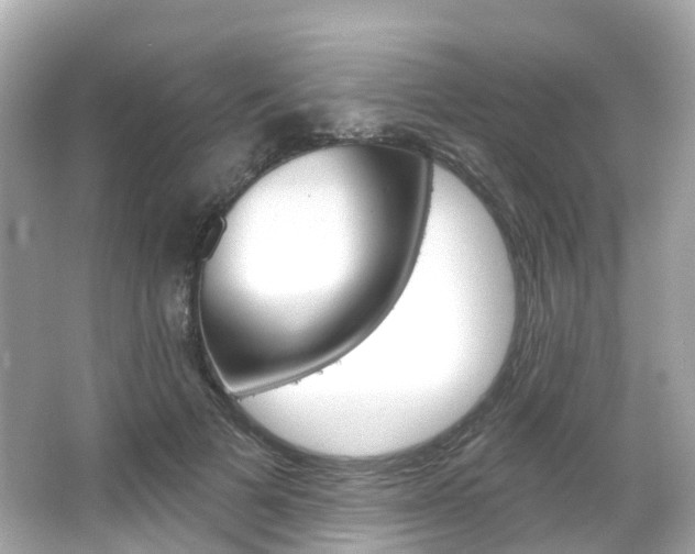 X0000066090697200603101003