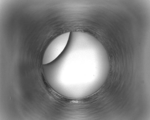 X0000066090699200603101003