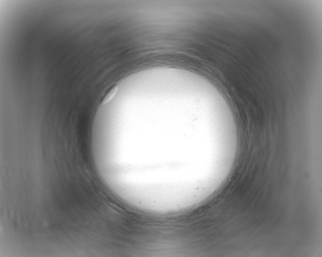X0000066090701200603101003