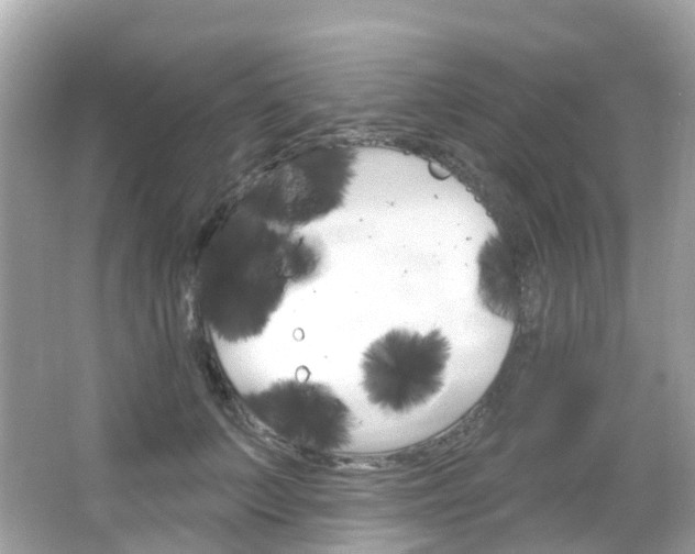 X0000066090703200603101003