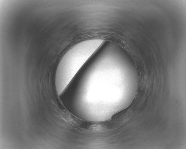 X0000066090704200603101003