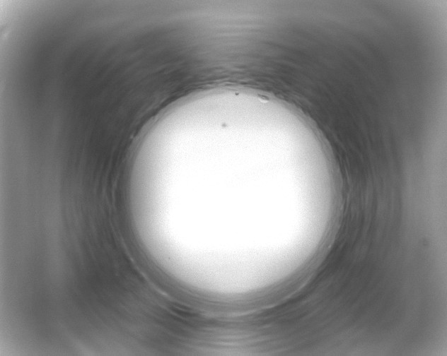 X0000066090705200603101003
