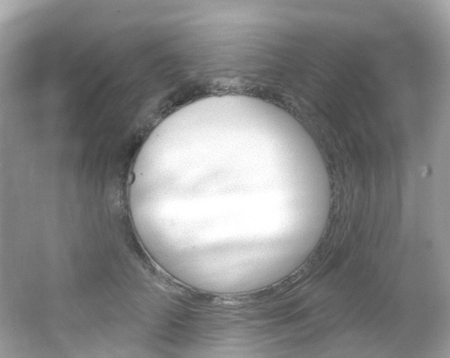 X0000066090706200603101003