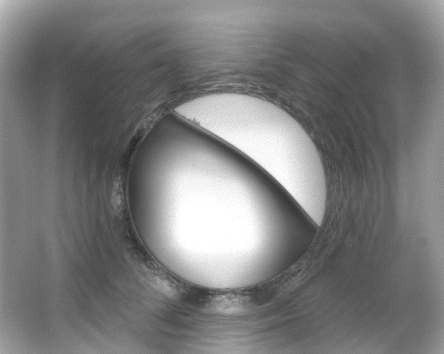 X0000066090708200603101003