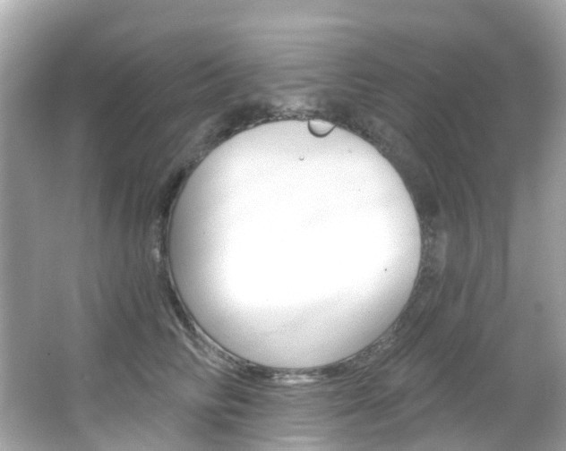 X0000066090710200603101003