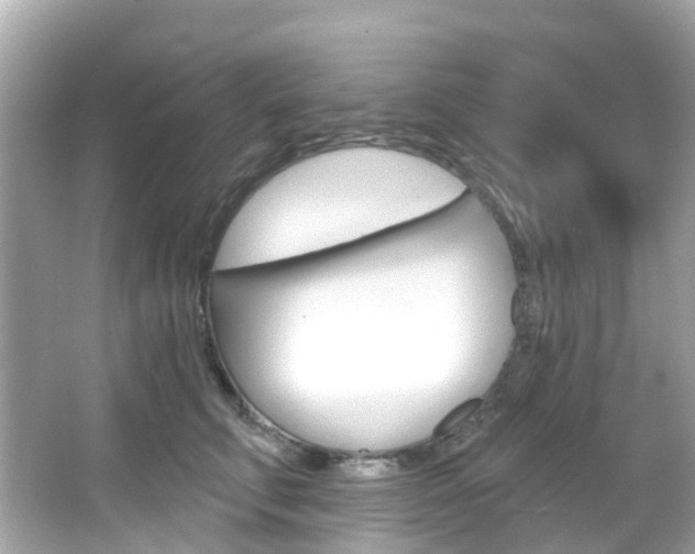 X0000066090711200603101003