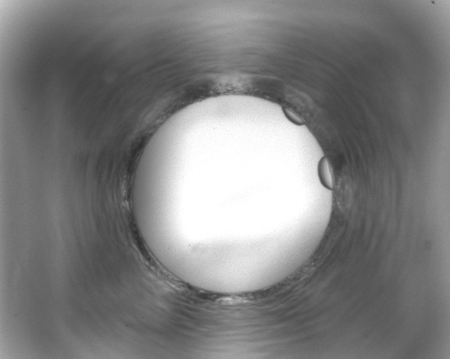 X0000066090714200603101003