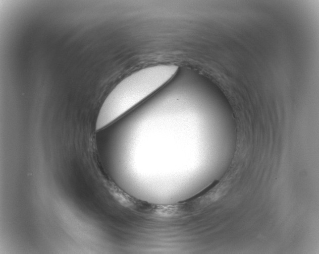 X0000066090720200603101003