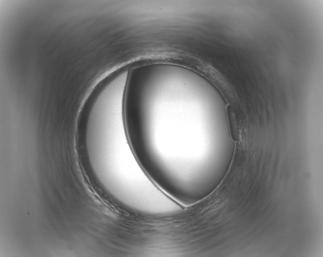 X0000066090724200603101002