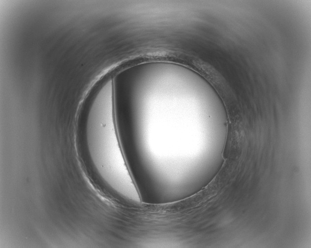 X0000066090728200603101002