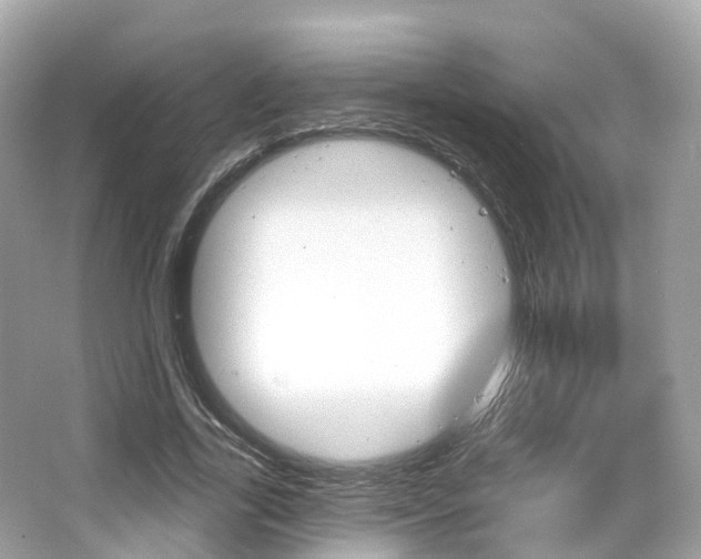 X0000066090731200603101002