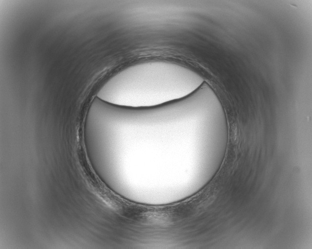 X0000066090733200603101002