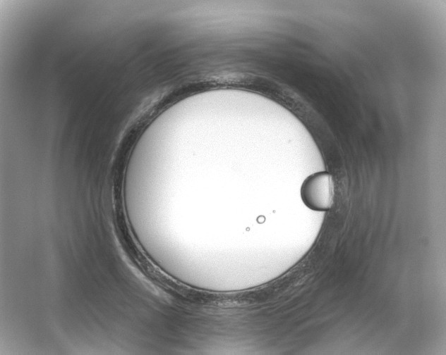 X0000066090734200603101002