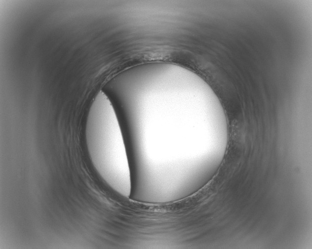 X0000066090741200603101002
