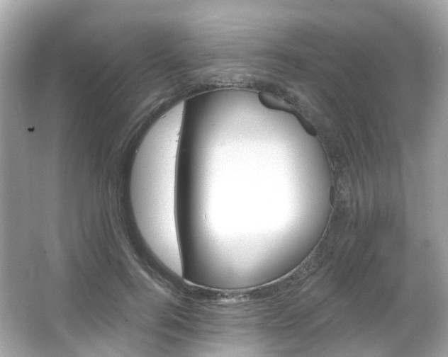 X0000066090744200603101002