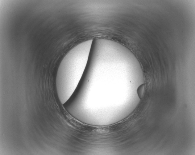 X0000066090745200603101002