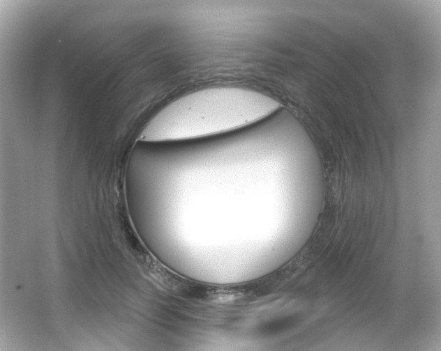X0000066090746200603101002