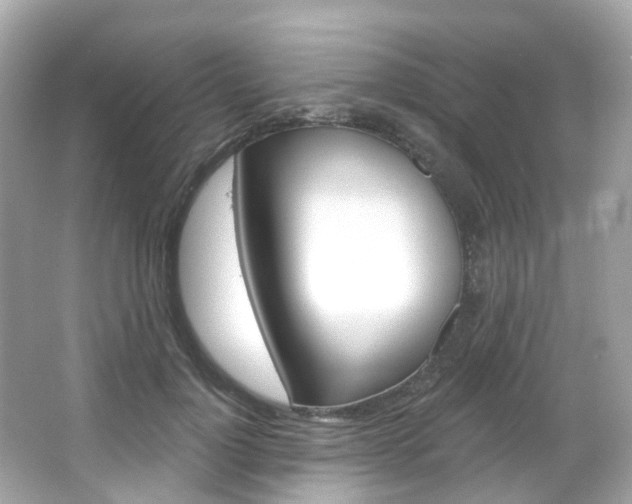 X0000066090748200603101002
