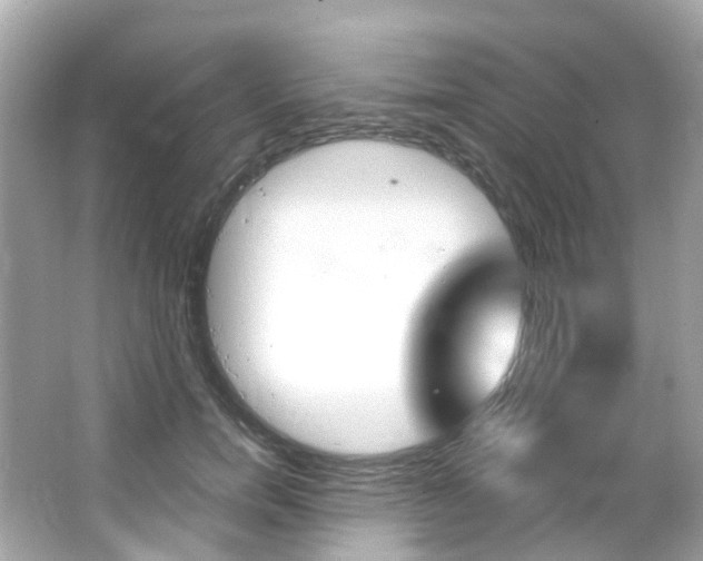 X0000066090750200603101003