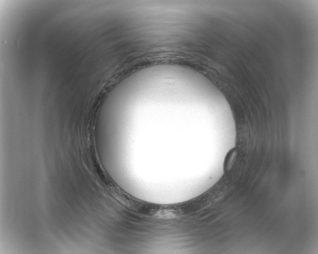 X0000066090751200603101003