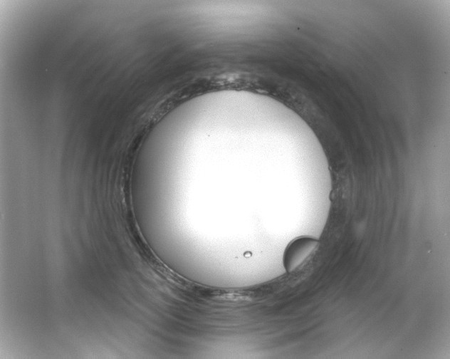 X0000066090754200603101003