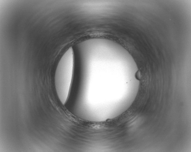 X0000066090755200603101003