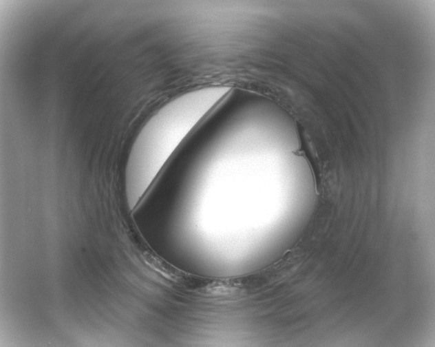 X0000066090756200603101003