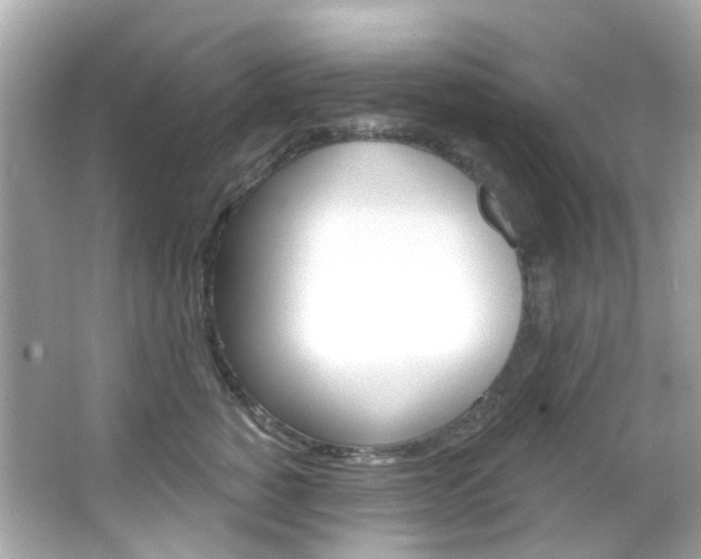 X0000066090760200603101003