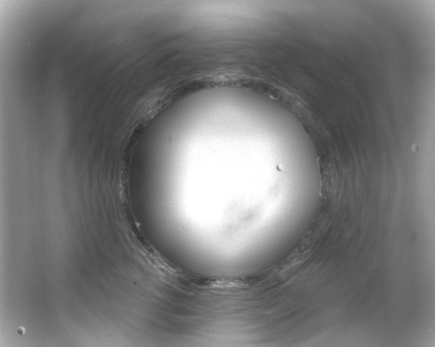 X0000066090762200603101003