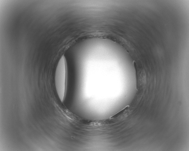 X0000066090764200603101003