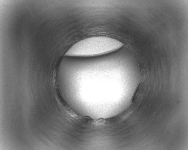 X0000066090767200603101003
