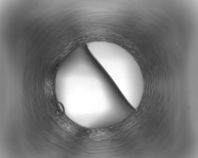 X0000066090772200603101002