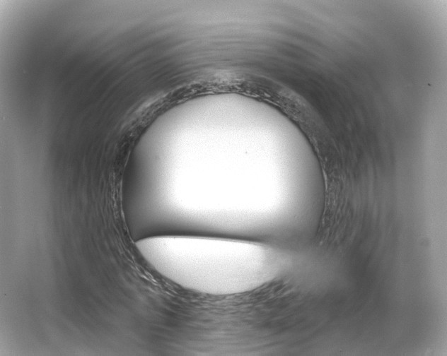 X0000066090773200603101002